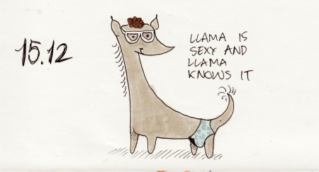 llama 15